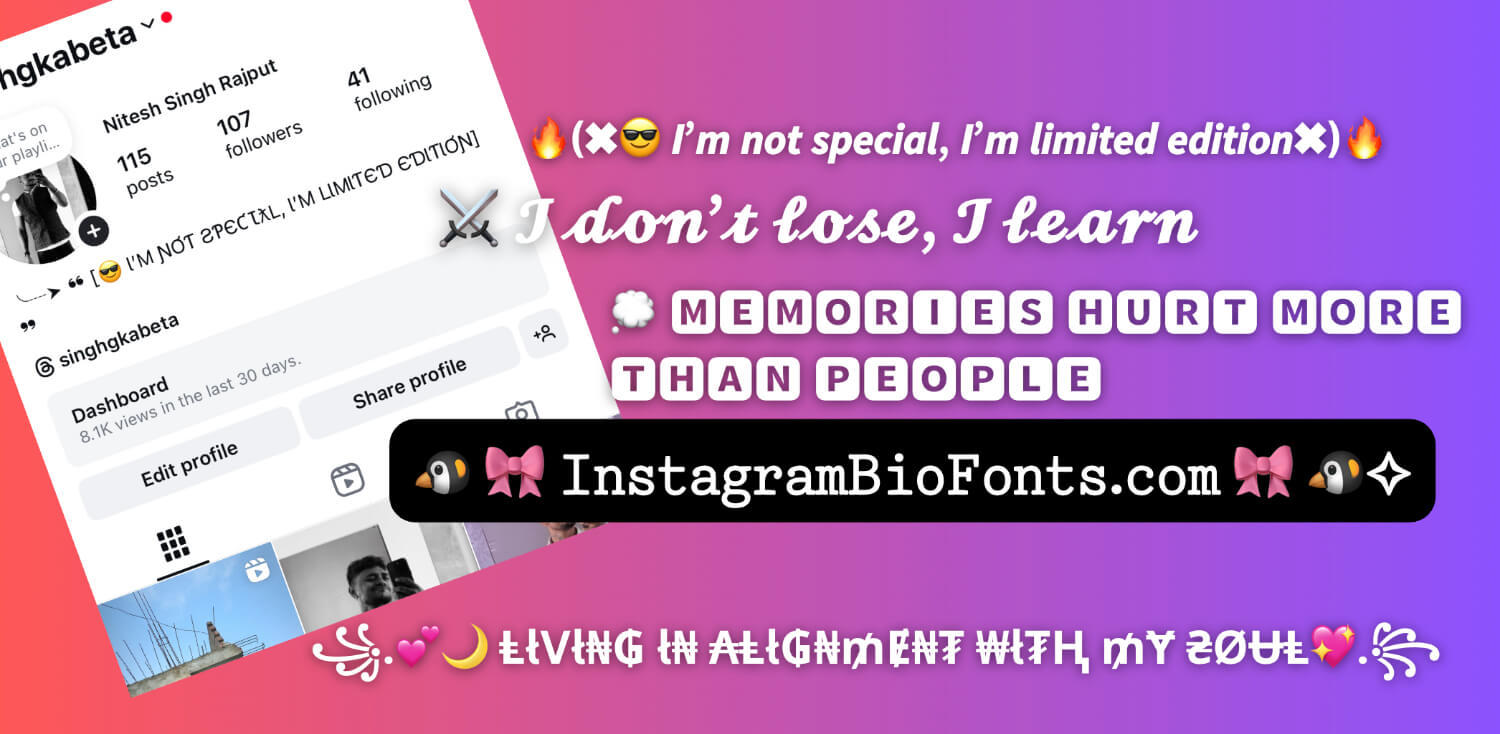 Instagram Bio Fonts Example